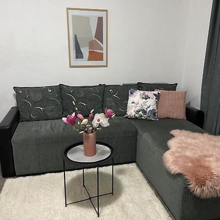 Apartman Aleksic 雅戈丁那 外观 照片