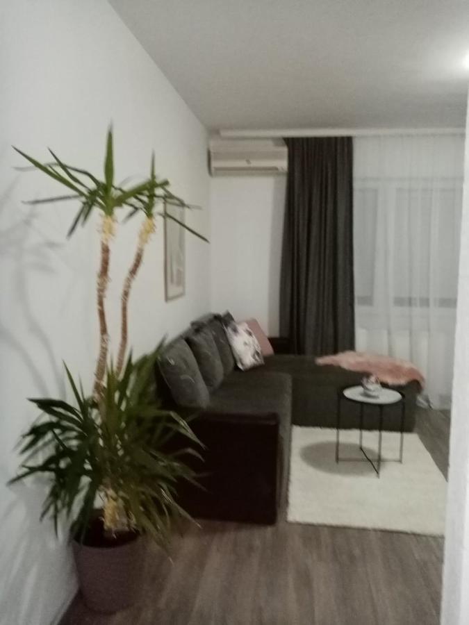 Apartman Aleksic 雅戈丁那 外观 照片