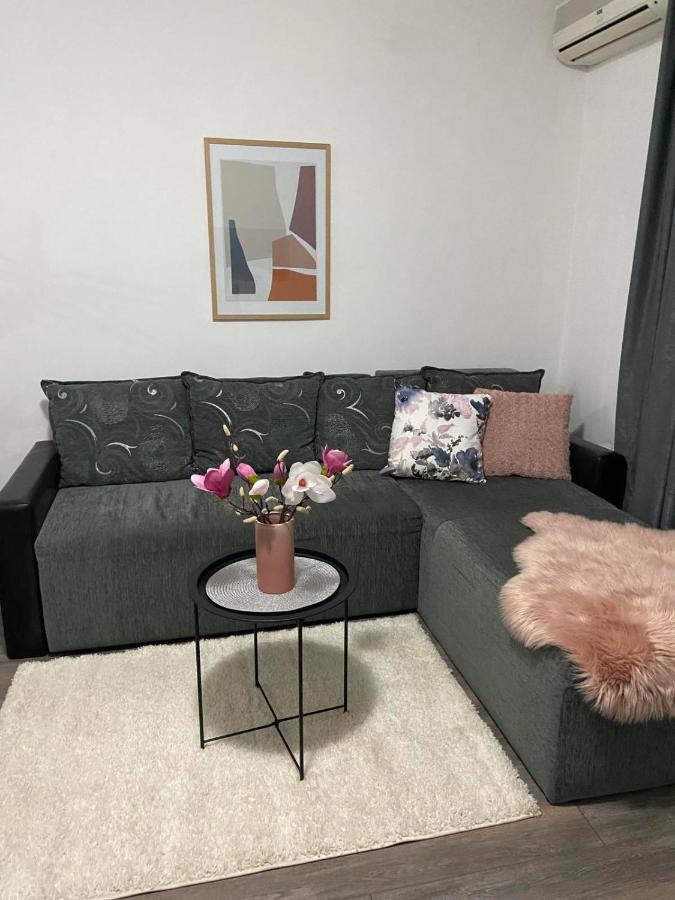 Apartman Aleksic 雅戈丁那 外观 照片