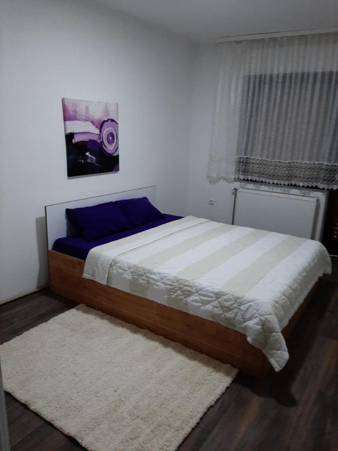 Apartman Aleksic 雅戈丁那 外观 照片