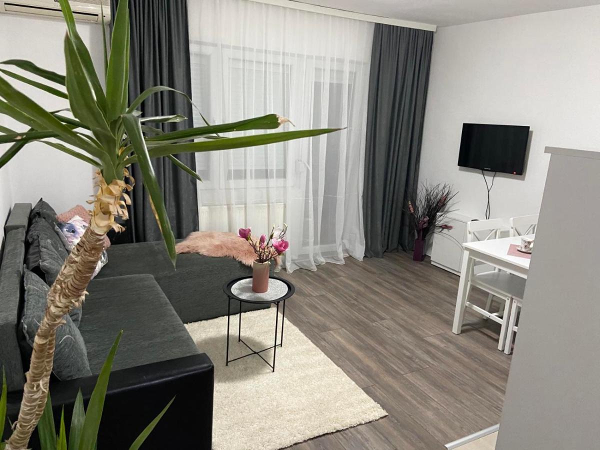Apartman Aleksic 雅戈丁那 外观 照片