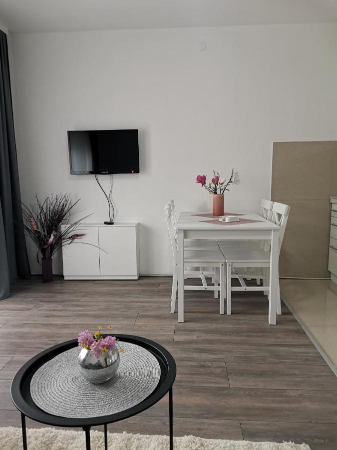Apartman Aleksic 雅戈丁那 外观 照片