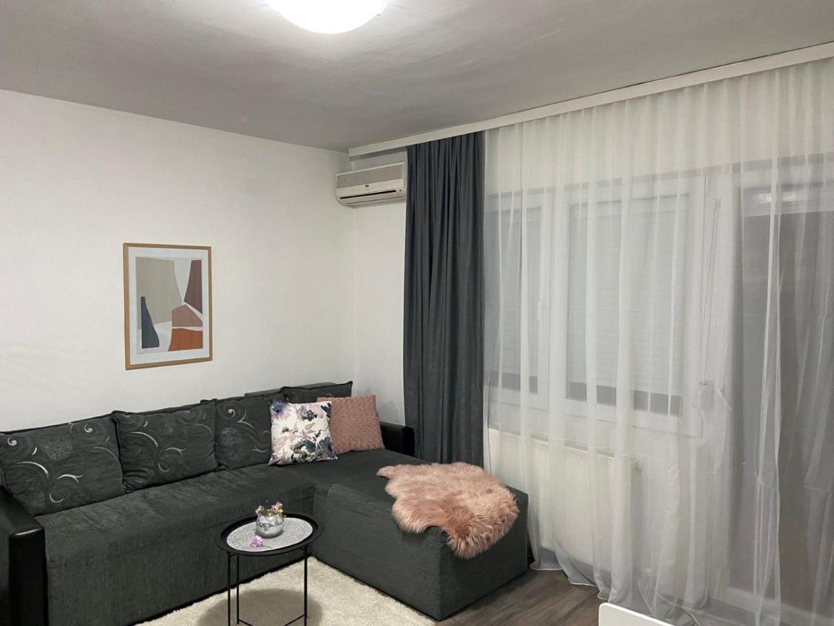 Apartman Aleksic 雅戈丁那 外观 照片