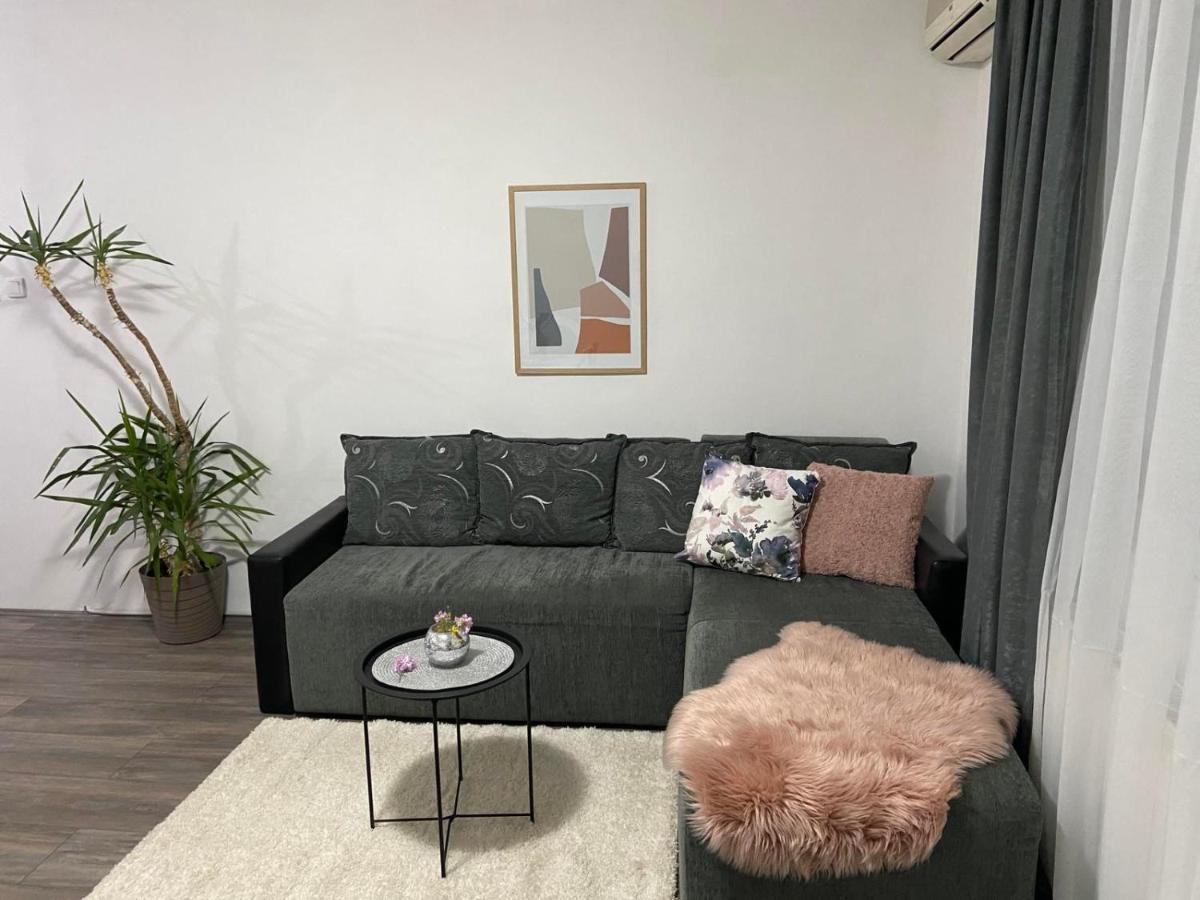 Apartman Aleksic 雅戈丁那 外观 照片